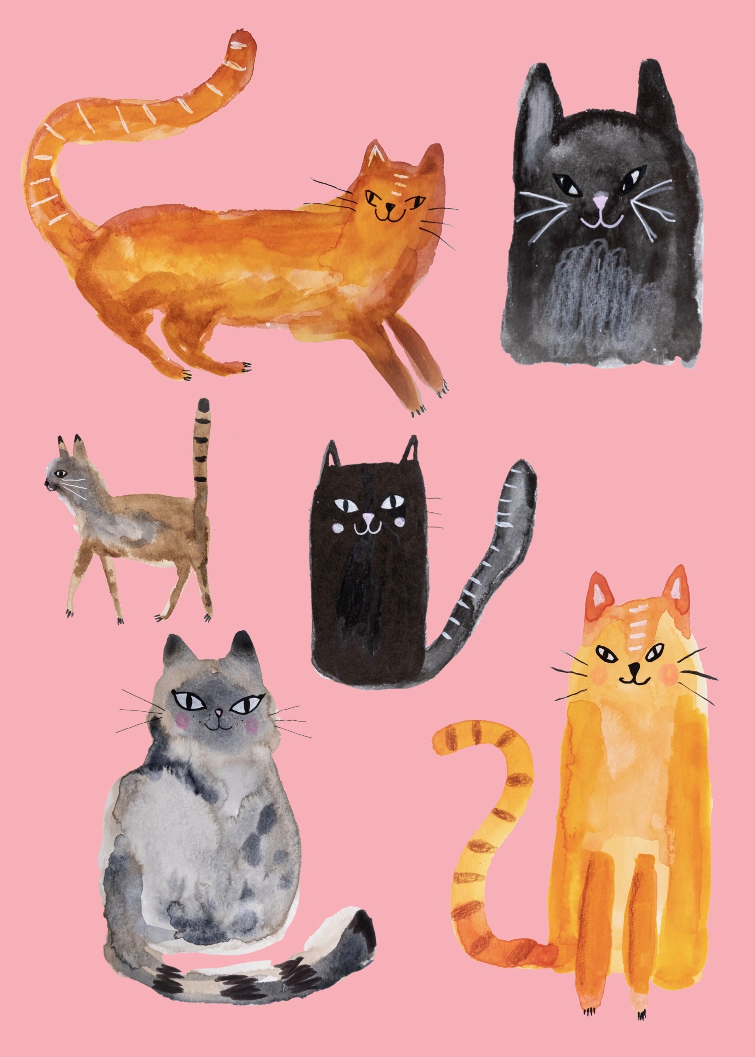 Cats 1 Greetings Card (7x5 inches)