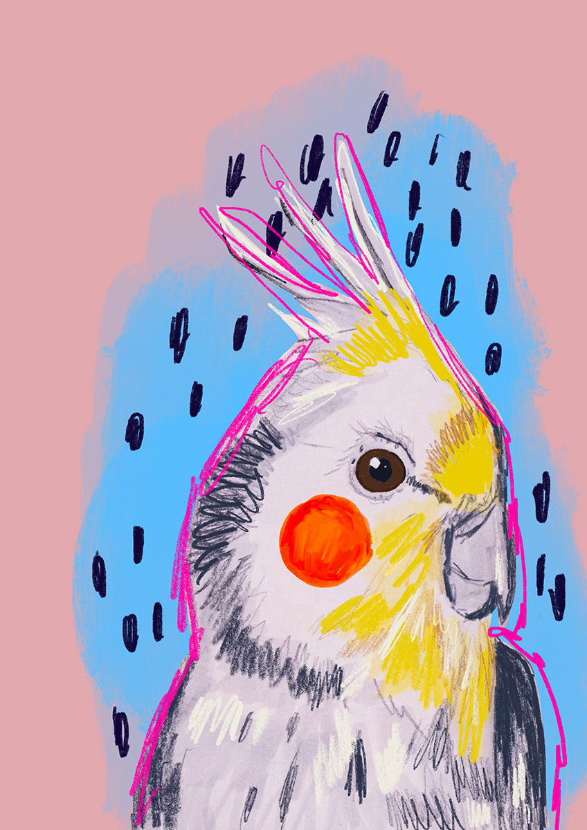 Cockatiel Greeting Card