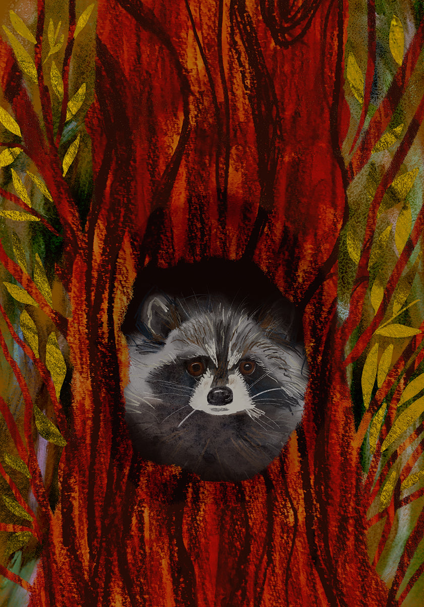 Hiding Raccoon (Retro Storybook) Print