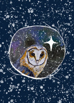Winter Owl 1 Print