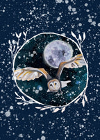 Winter Owl 3 Print