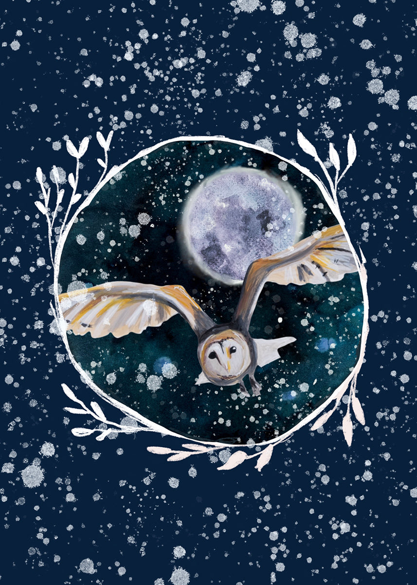 Winter Owl 3 Print