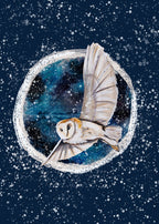 Winter Owl 4 Print