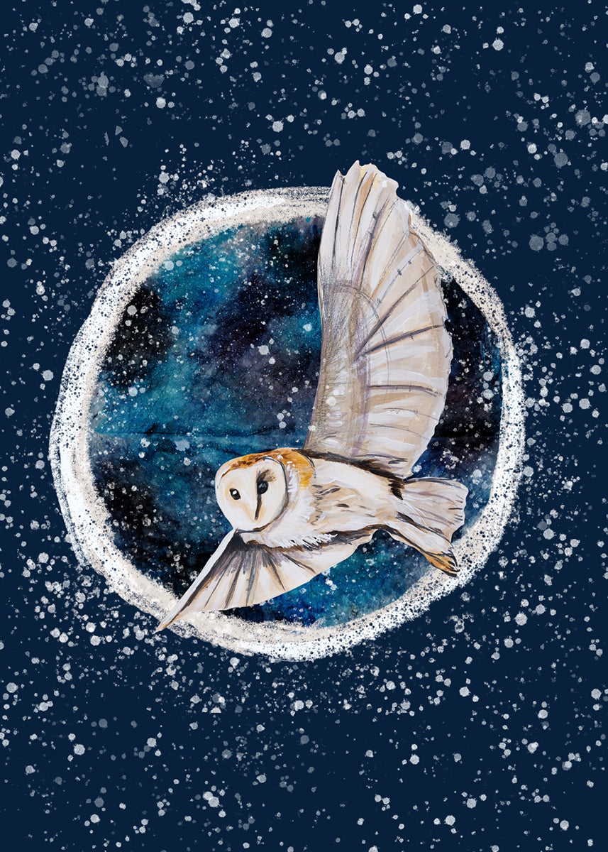Winter Owl 4 Print