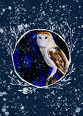 Winter Owl 5 Print