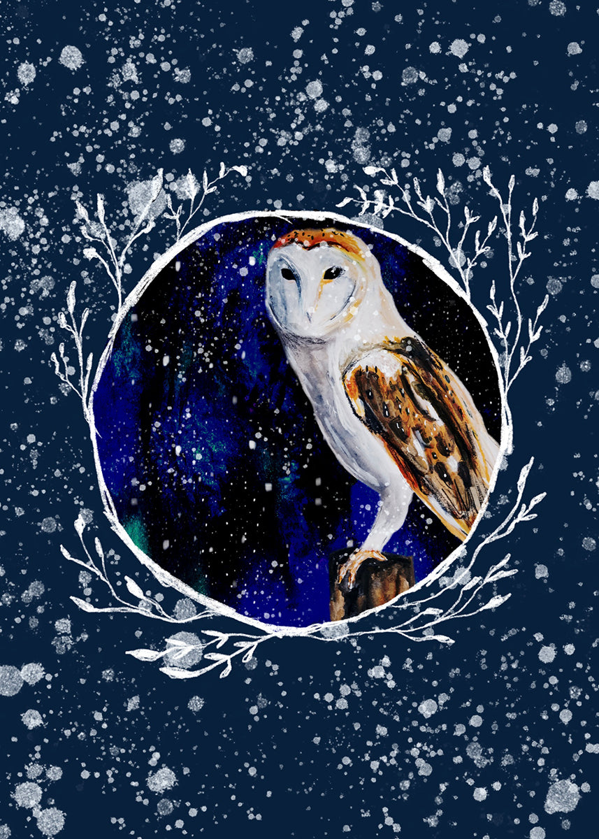 Winter Owl 5 Print