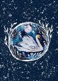 Winter Swan Print