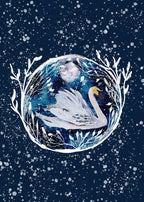 Winter Swan Print