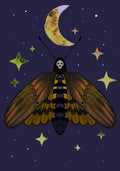 Death Head Moth Print