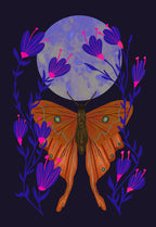 Night Booming Orange Moth Print