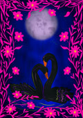 Love - Black Swans Greetings Card (7x5 inches)
