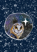 Winter Owl 1 Greeting Card