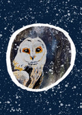 Winter Owl 2 Greeting Card